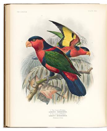 (BIRDS.) George Mivart. A Monograph of the Lories, or Brush-Tongued Parrots, Composing the Family Loriidae.